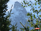 The Aiguille du Midi in Chamonix, through trees