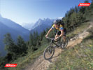 Mountain biking sweet Chamonix singletrack
